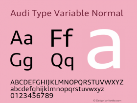 Audi Type Variable