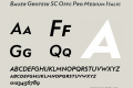 Bauer Grotesk SC Offc Pro