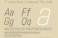 TT Lakes Neue Condensed