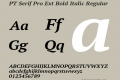 PT Serif Pro Ext Bold Italic