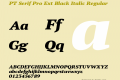 PT Serif Pro Ext Black Italic