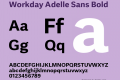 Workday Adelle Sans