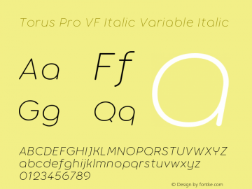 Torus Pro VF Italic