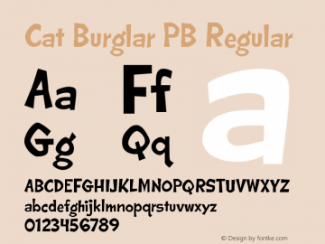 Cat Burglar PB