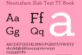 Neutraface Slab Text TT