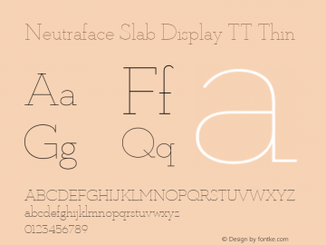 Neutraface Slab Display TT