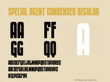 Special Agent Condensed