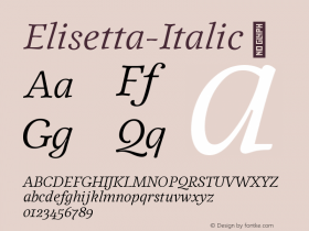 Elisetta-Italic