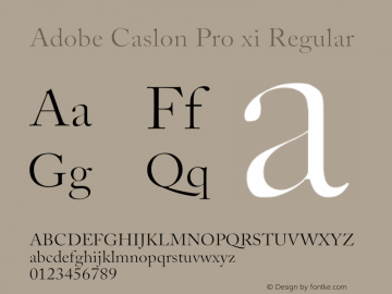 Adobe Caslon Pro xi