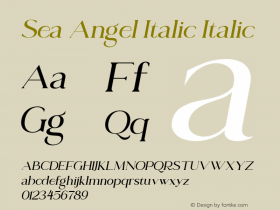 Sea Angel Italic