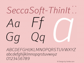 SeccaSoft-ThinIt