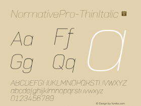 NormativePro-ThinItalic