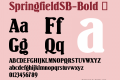 SpringfieldSB-Bold