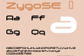 ZygoSE