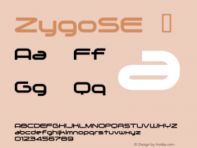 ZygoSE