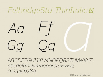 FelbridgeStd-ThinItalic