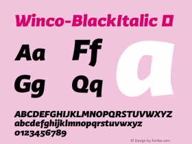 Winco-BlackItalic