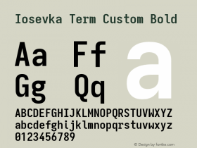 Iosevka Term Custom