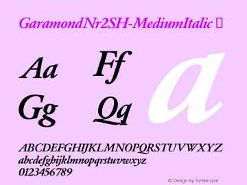 GaramondNr2SH-MediumItalic