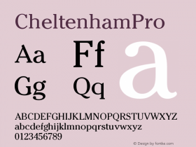 CheltenhamPro