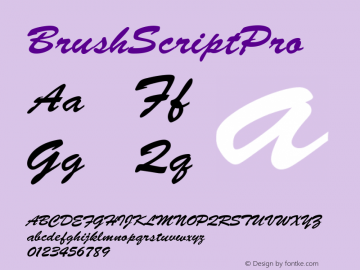 BrushScriptPro