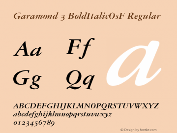 Garamond 3 BoldItalicOsF