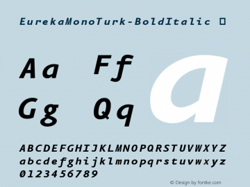 EurekaMonoTurk-BoldItalic