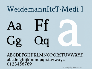 WeidemannItcT-Medi