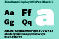 ZineSansDisplayOffcPro-Black