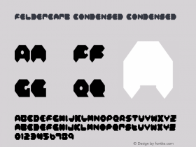 Feldercarb Condensed