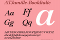 ATJamille-BookItalic