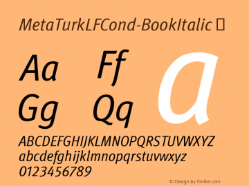 MetaTurkLFCond-BookItalic