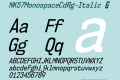 NK57MonospaceCdRg-Italic