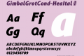 GimbalGrotCond-HeaItal