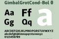 GimbalGrotCond-Bol