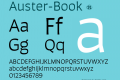 Auster-Book