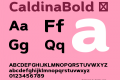 CaldinaBold