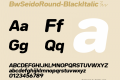 BwSeidoRound-BlackItalic