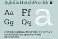 SybillaHatchPro-Bk