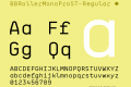 BBRollerMonoProST-Regular