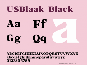 USBlaak-Black