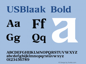 USBlaak-Bold