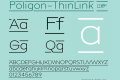 Poligon-ThinLink