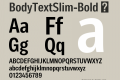 BodyTextSlim-Bold