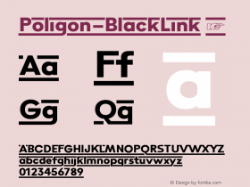 Poligon-BlackLink