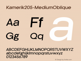 Kamerik205-MediumOblique