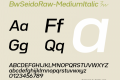 BwSeidoRaw-MediumItalic