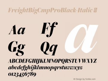 FreightBigCmpProBlack-Italic
