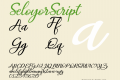 SeloyorScript