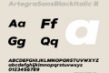 ArtegraSansBlackItalic